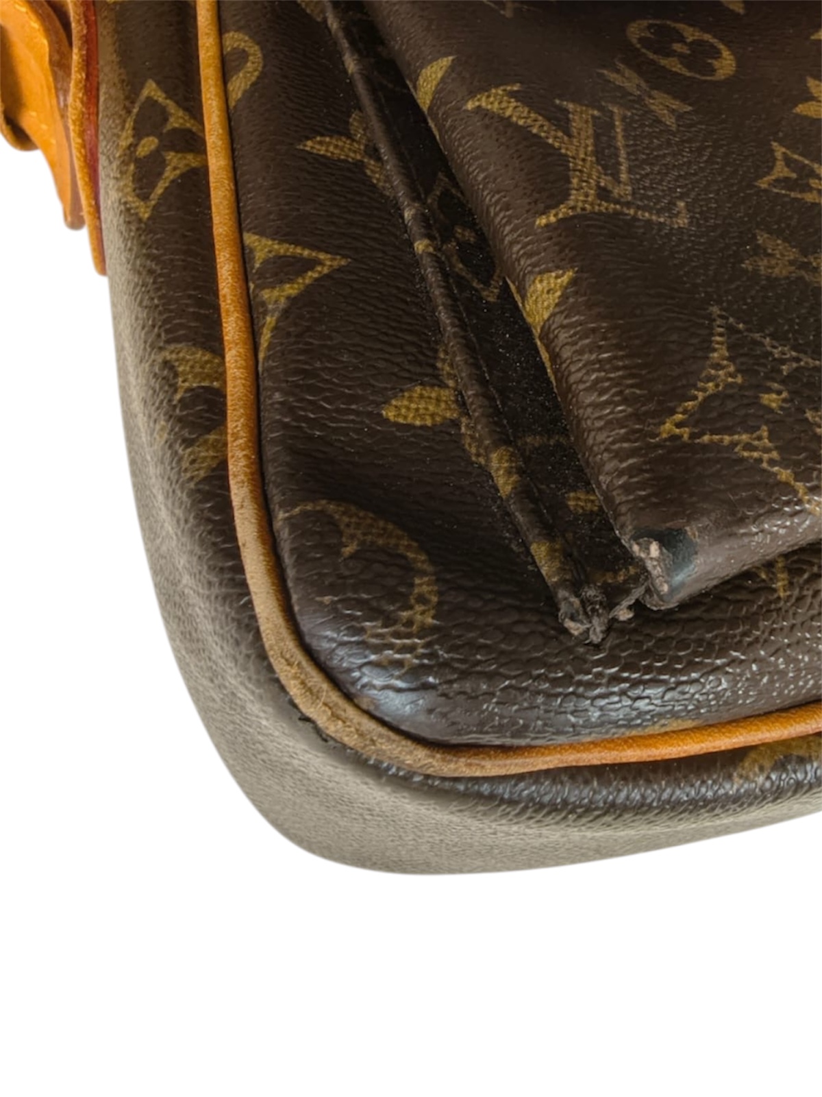 Borsa Louis Vuttion Viva Cité in Tela Monogram - immagine 22