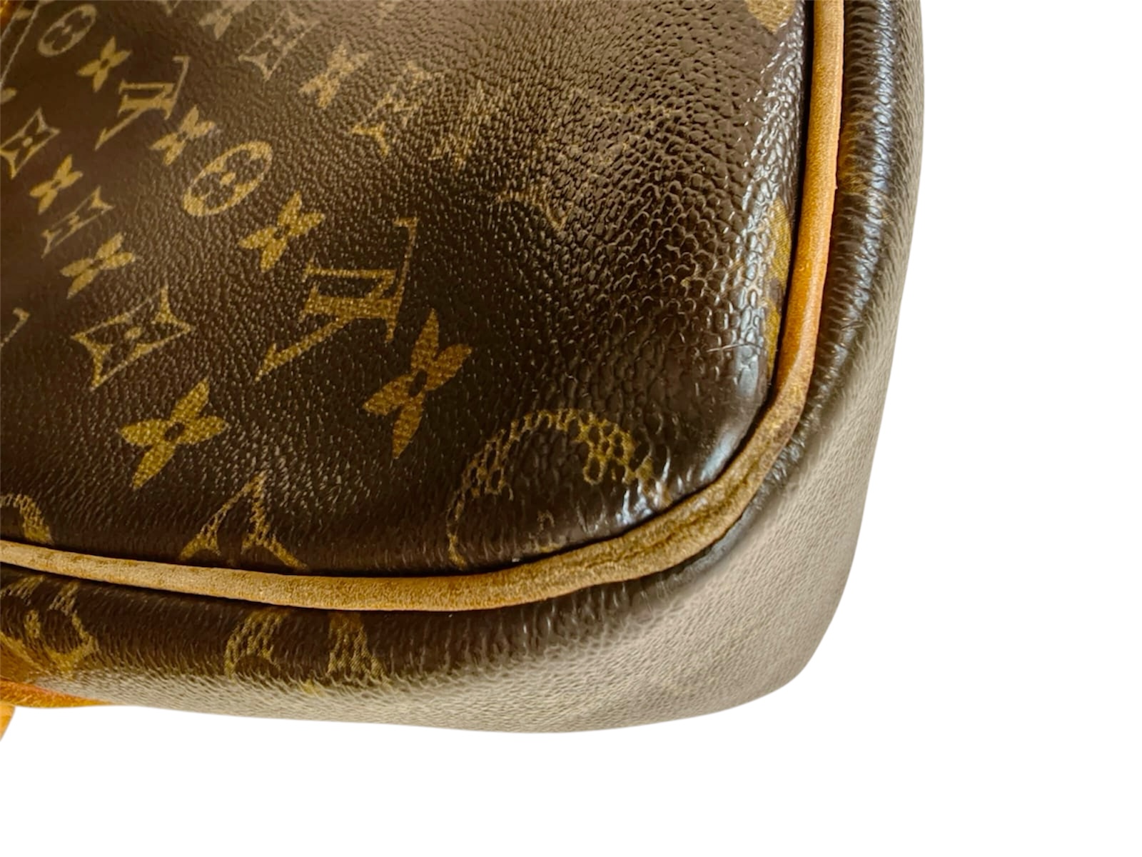 Borsa Louis Vuttion Viva Cité in Tela Monogram - immagine 24