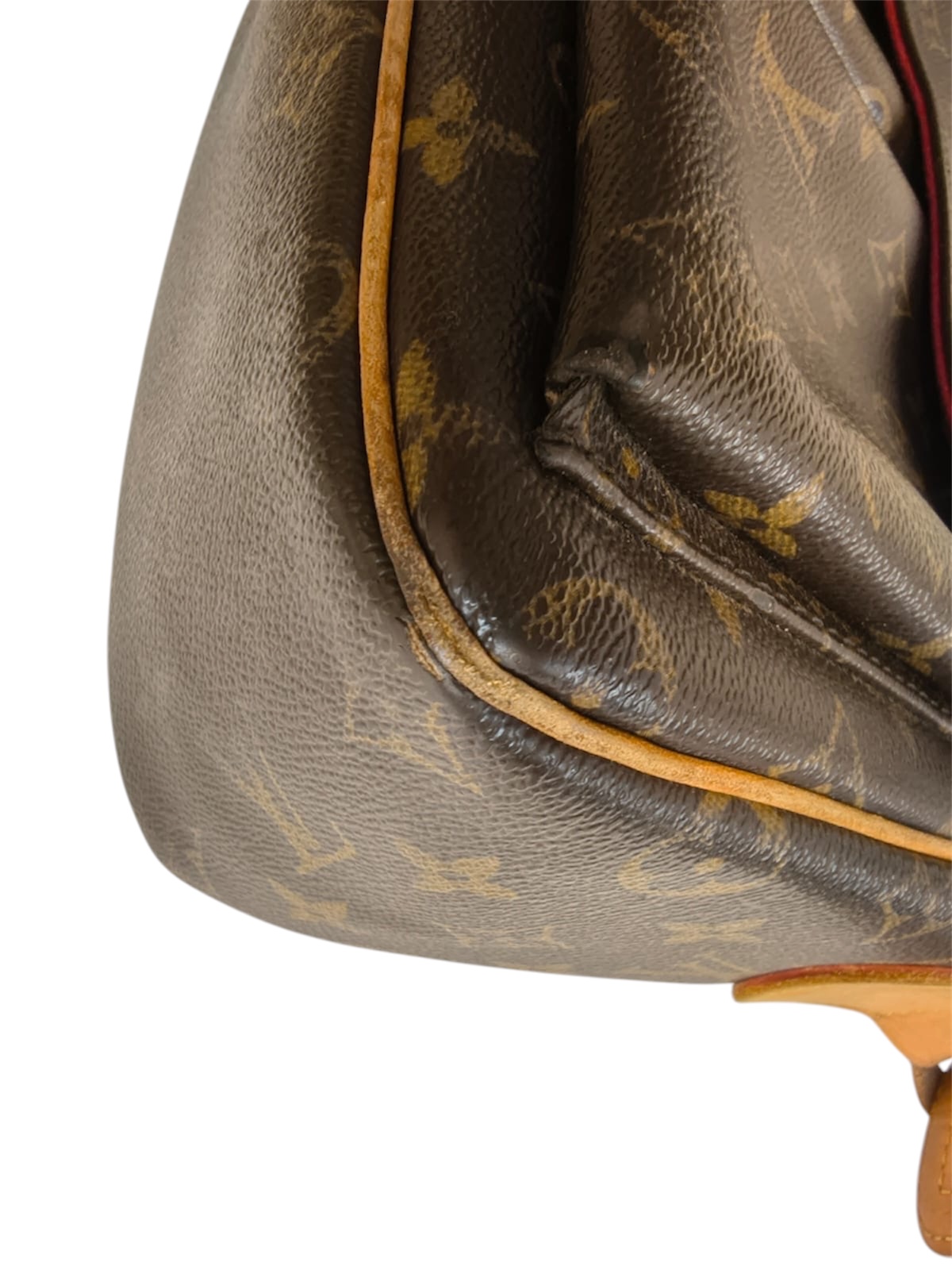 Borsa Louis Vuttion Viva Cité in Tela Monogram - immagine 23