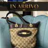 Borsa Gucci Secchiello GG Canvas